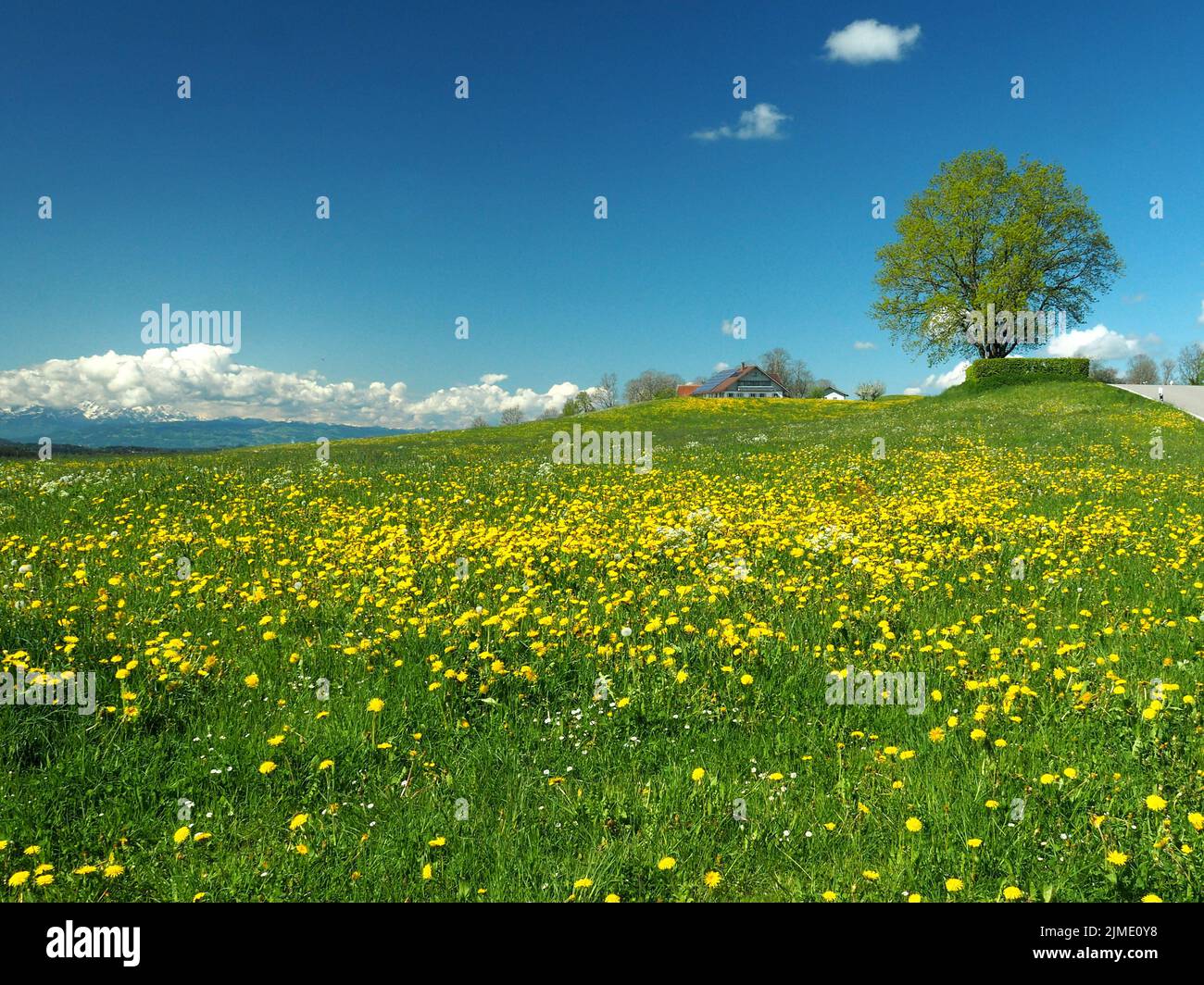 Viewpoint Siggener HÃ¶he in the Ravensburg district, AllgÃ¤u Stock Photo