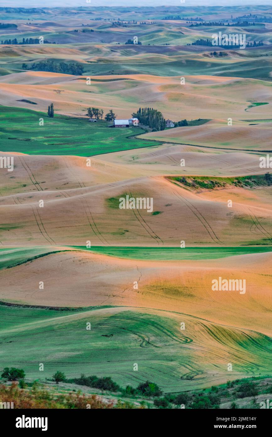 Rolling hills and Farm Land at palouse washington Stock Photo Alamy