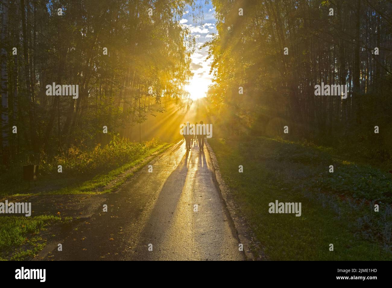Sunbeams fog hi-res stock photography and images - Alamy