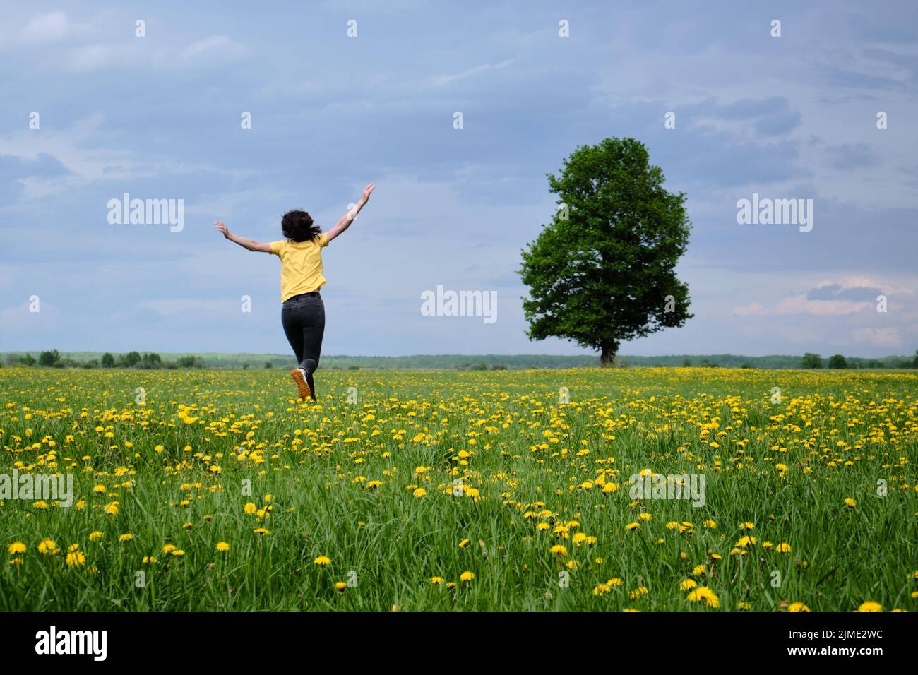A girl in a yellow T-shirt moves across the field with flowers. Yellow flowers, green grass, blue sky, oak. Travel outside the c Stock Photo