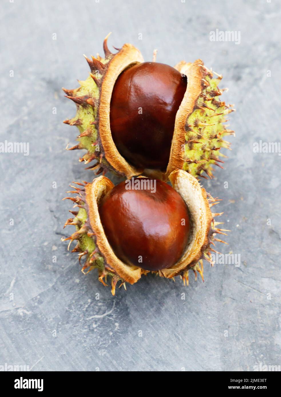 Chestnuts in the shell on a stone plate Stock Photo Alamy