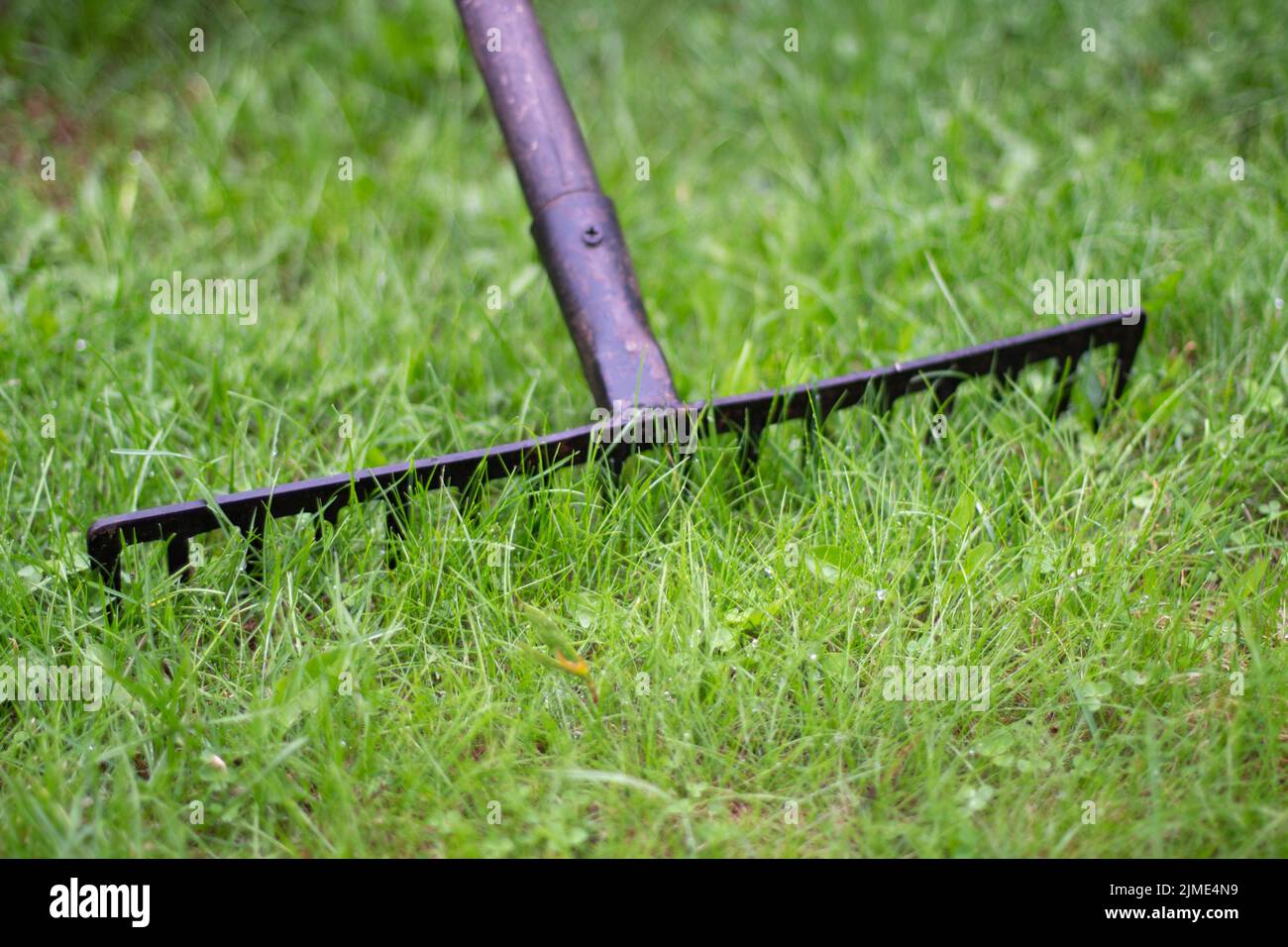 Rake in the garden. Garden tools Stock Photo Alamy