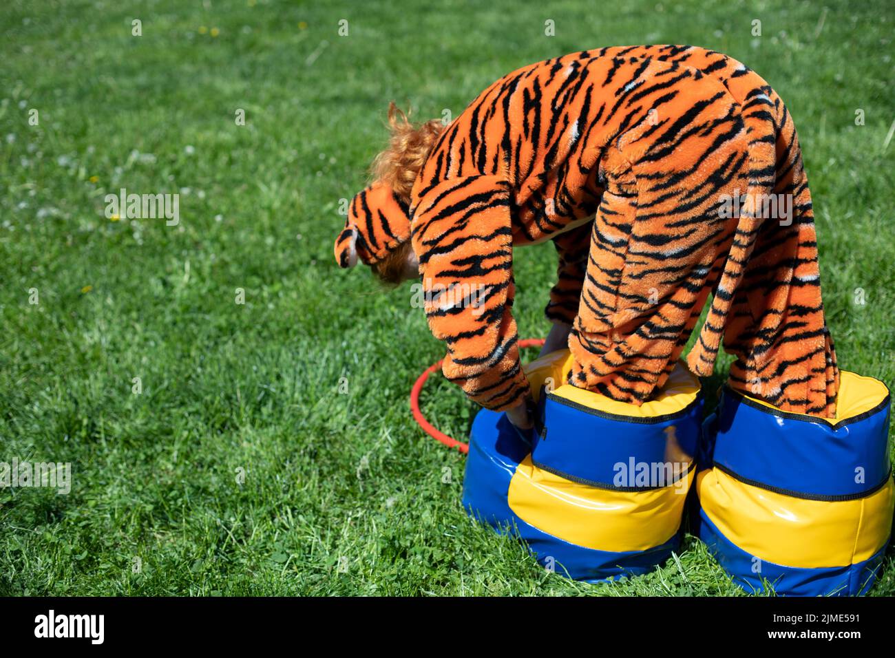 A girl dressed as a tiger. Animator at the party. Fun for children. Stock Photo