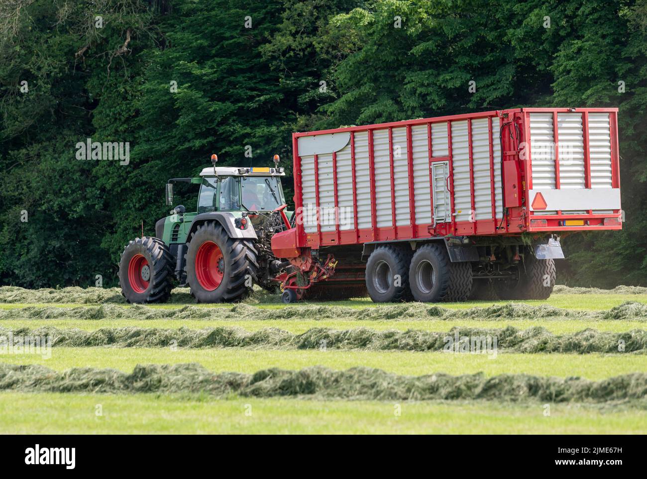 Picking up dried grass for silage with a green tractor and red loader wagon Stock Photo