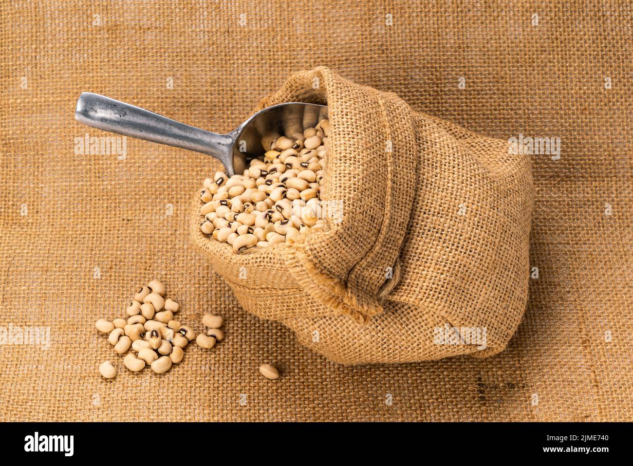 Closeup of soy beans in a sack with aluminum multi purpose scoop. Stock Photo