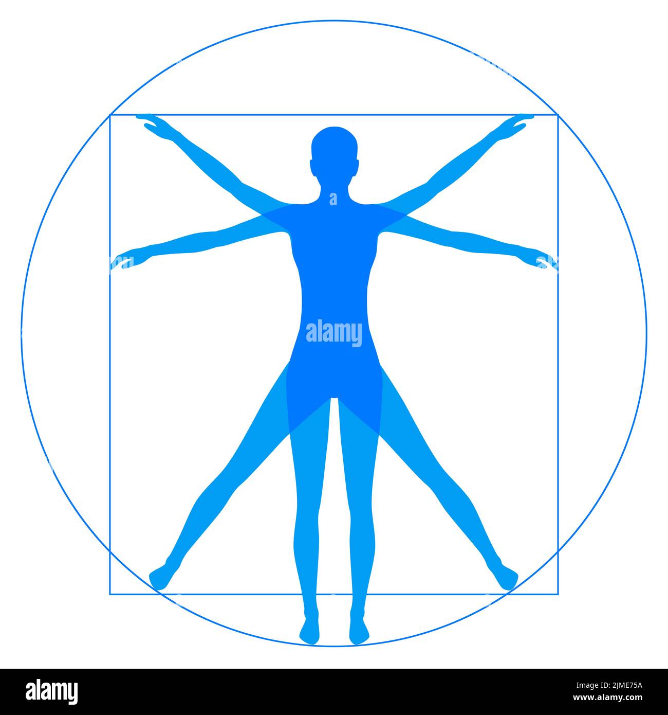 Body circle human illustration hi-res stock photography and images - Alamy