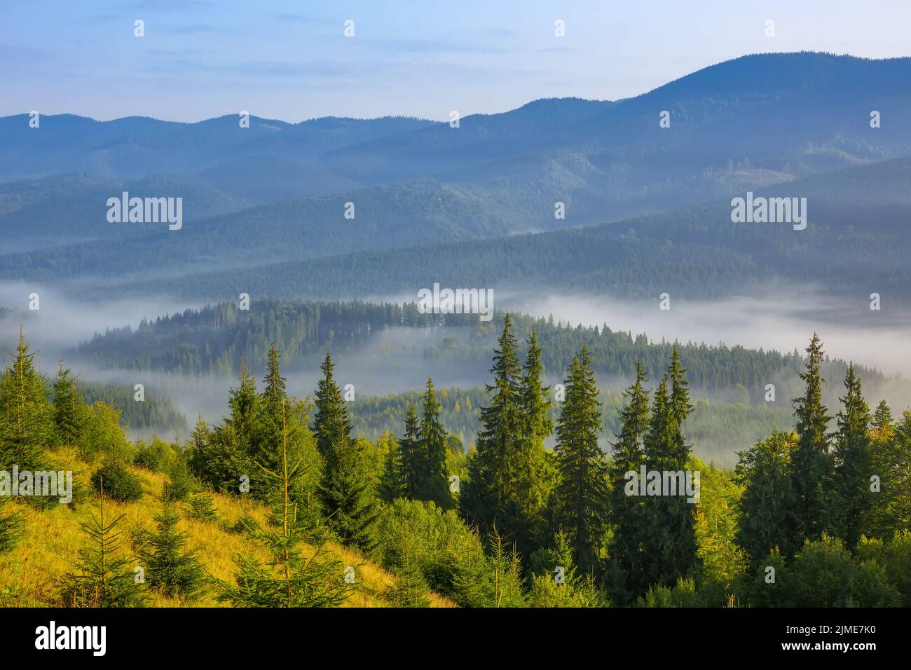 Wooded Ridges Beautiful view wooded valley hi-res stock photography and images - Alamy