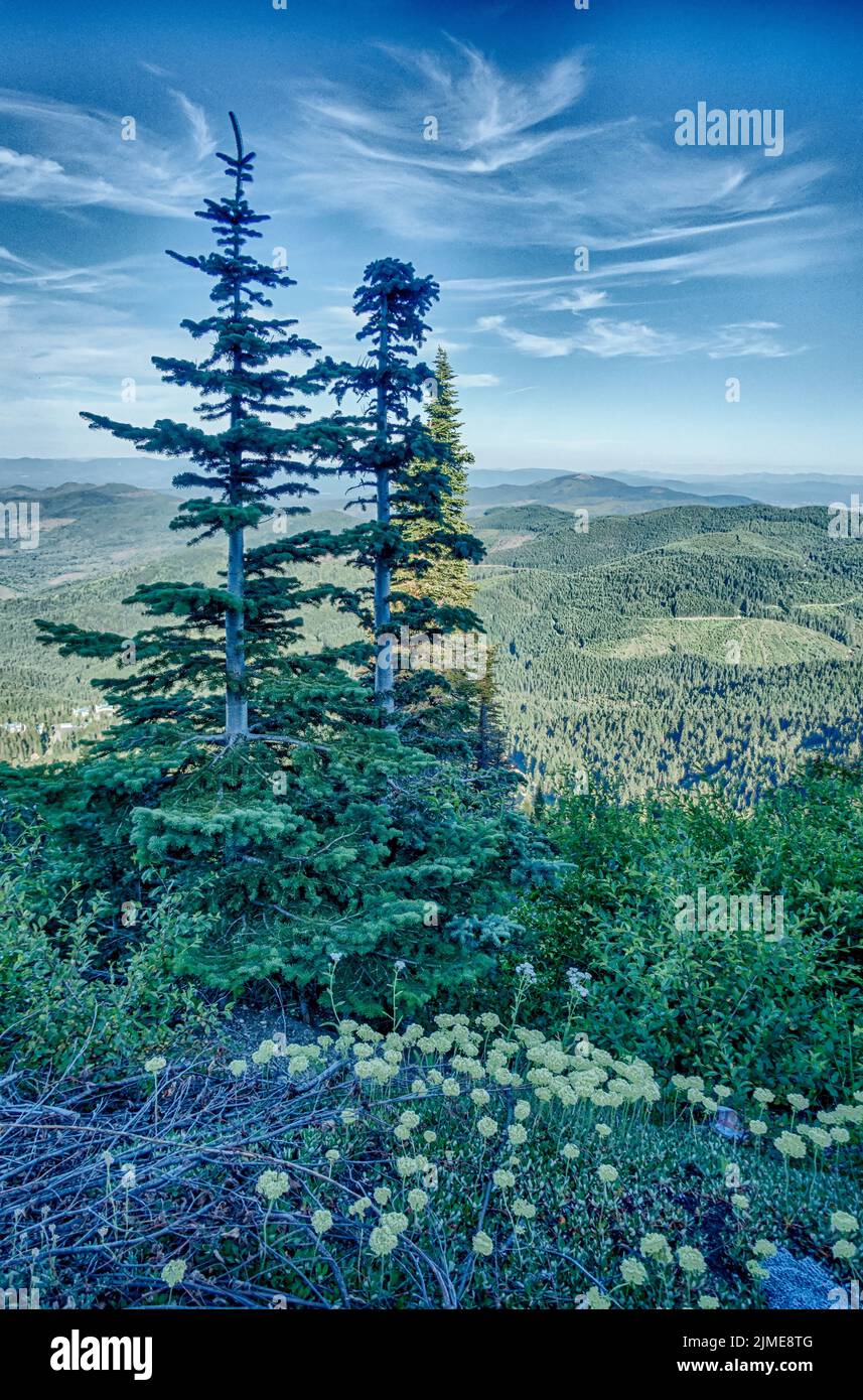 Beautiful scenic nature views at spokane mountain in washington state Stock Photo