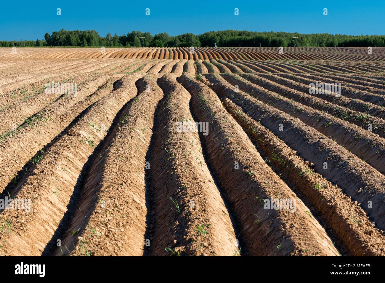Field cultivated land hi-res stock photography and images - Alamy