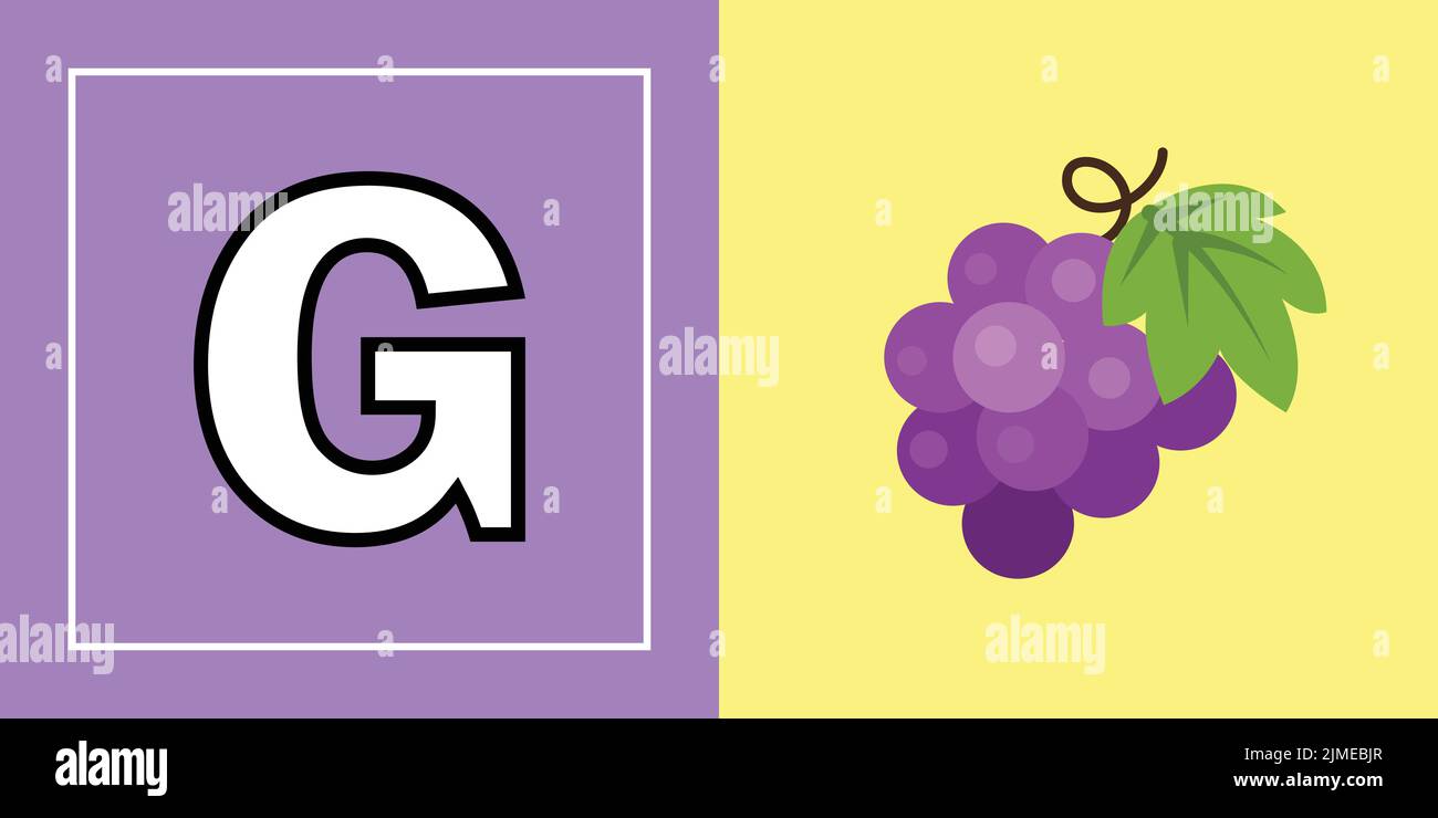 A Vector isolated cartoon illustration of English alphabet letter G