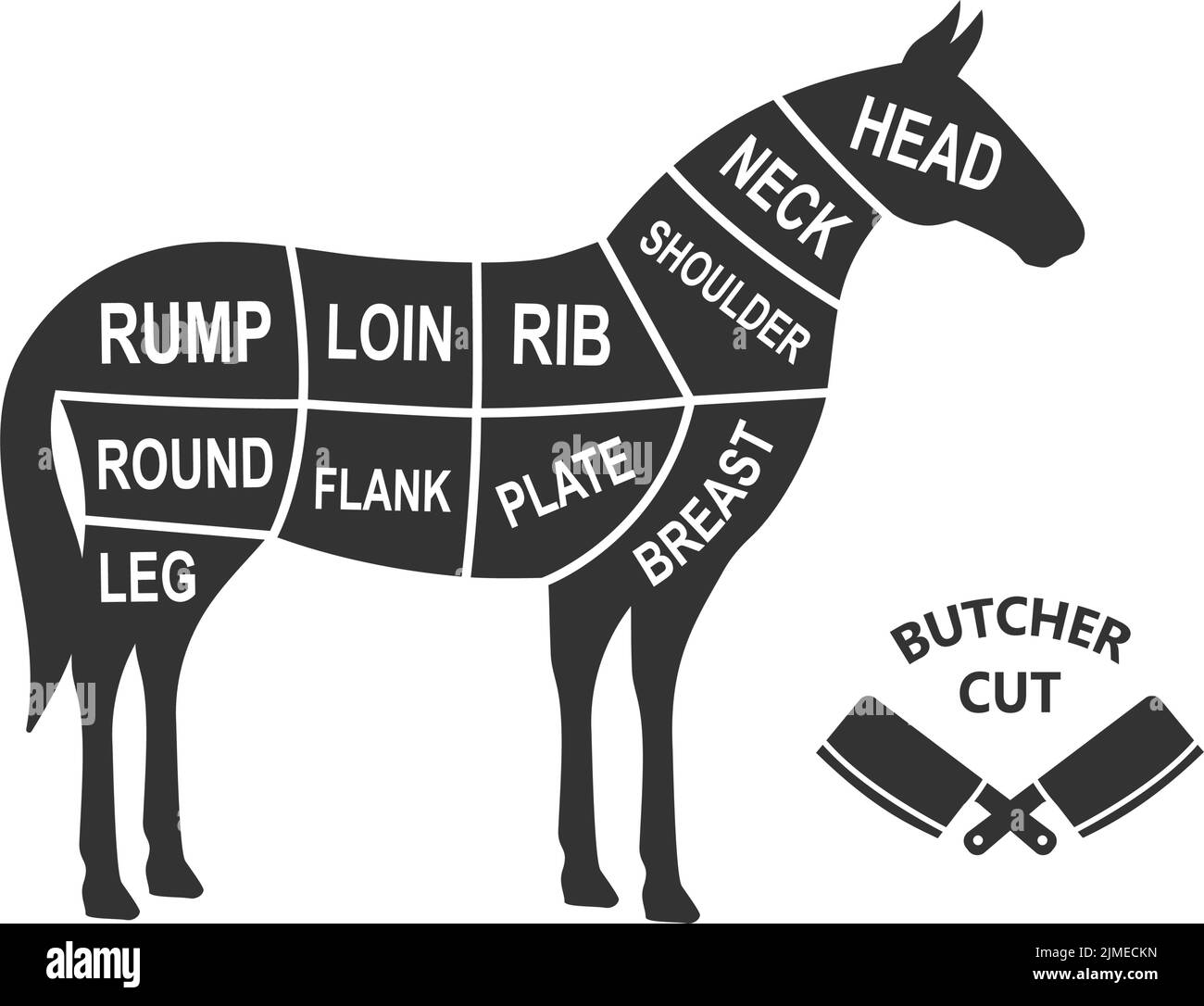 Horse scheme cuts. Butcher diagram poster. Meat diagram scheme illustration. Cuts of horse meat. Farm animal silhouette. Stock Vector