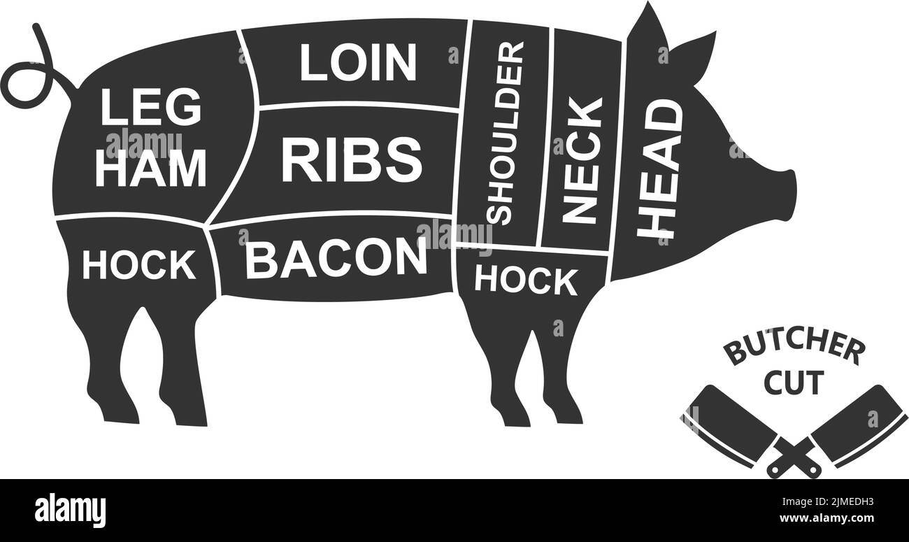 Pig scheme cuts. Butcher diagram poster. Meat diagram scheme illustration. Cuts of pork meat. Farm animal silhouette. Stock Vector