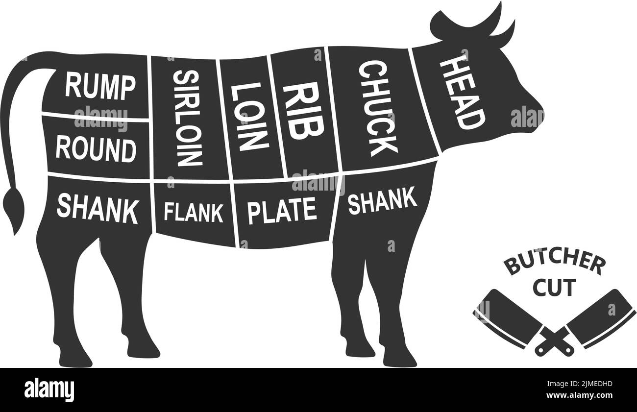 Cow scheme cuts. Butcher diagram poster. Meat diagram scheme illustration. Cuts of bull meat. Farm animal silhouette. Stock Vector