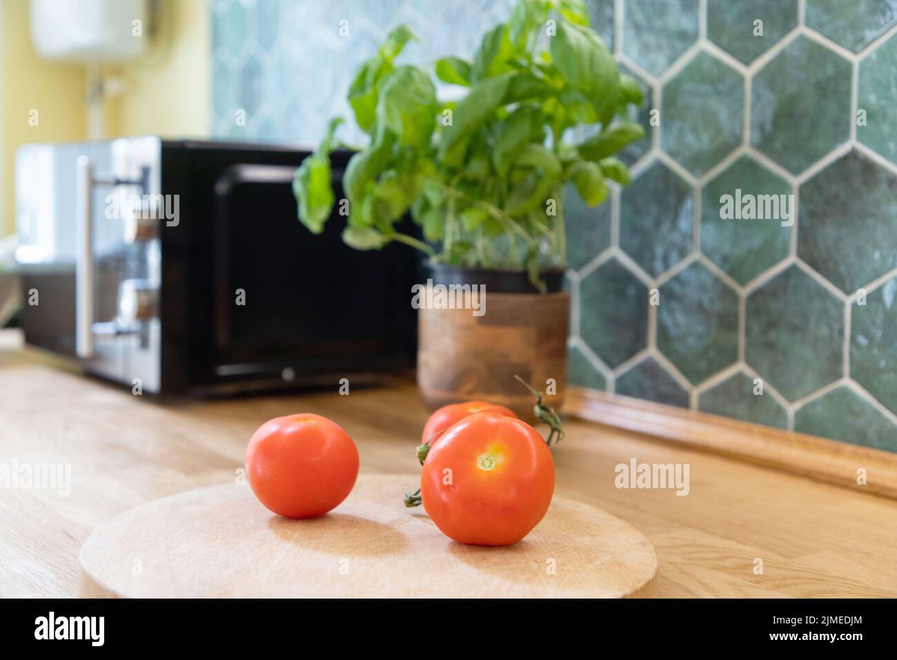 Fresh tomatoes and basil in modern kitchen interior with white