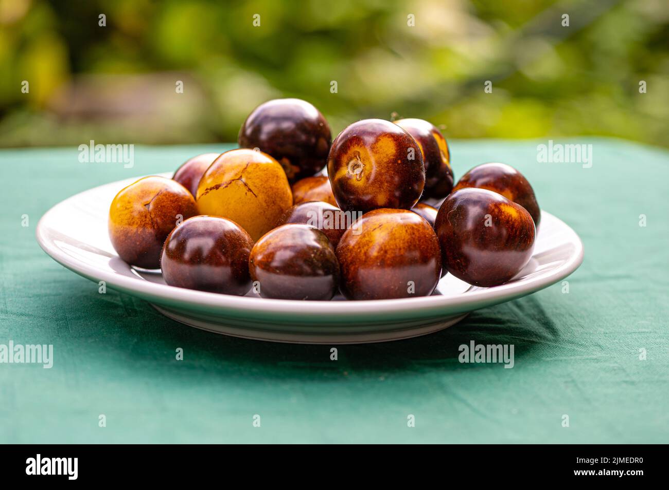 fresh cherry tomatoes of different varieties on a plate on the blurred background, close-up Stock Photo