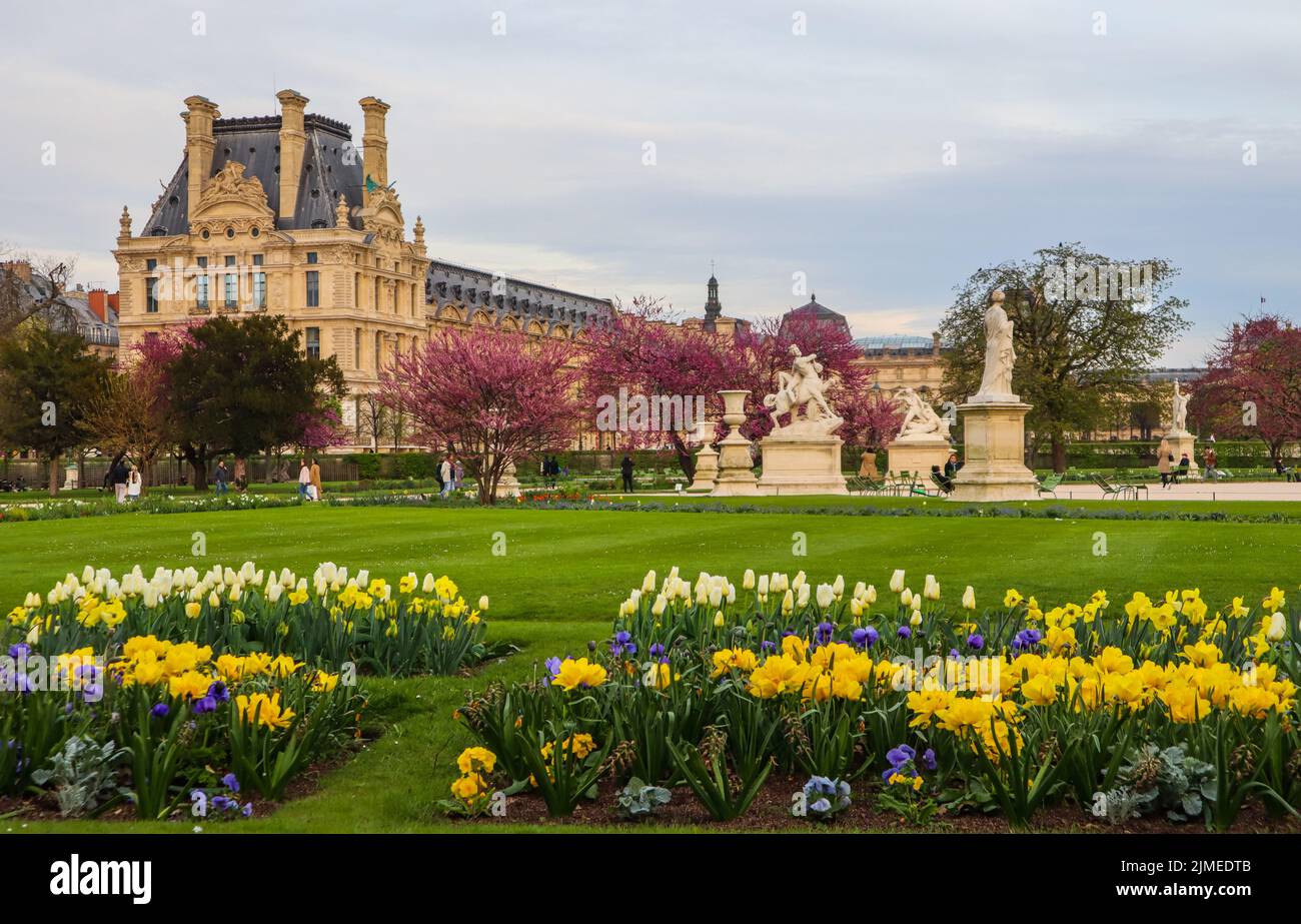 Marvelous spring Tuileries garden and view at the Louvre Palace in Paris France Stock Photo