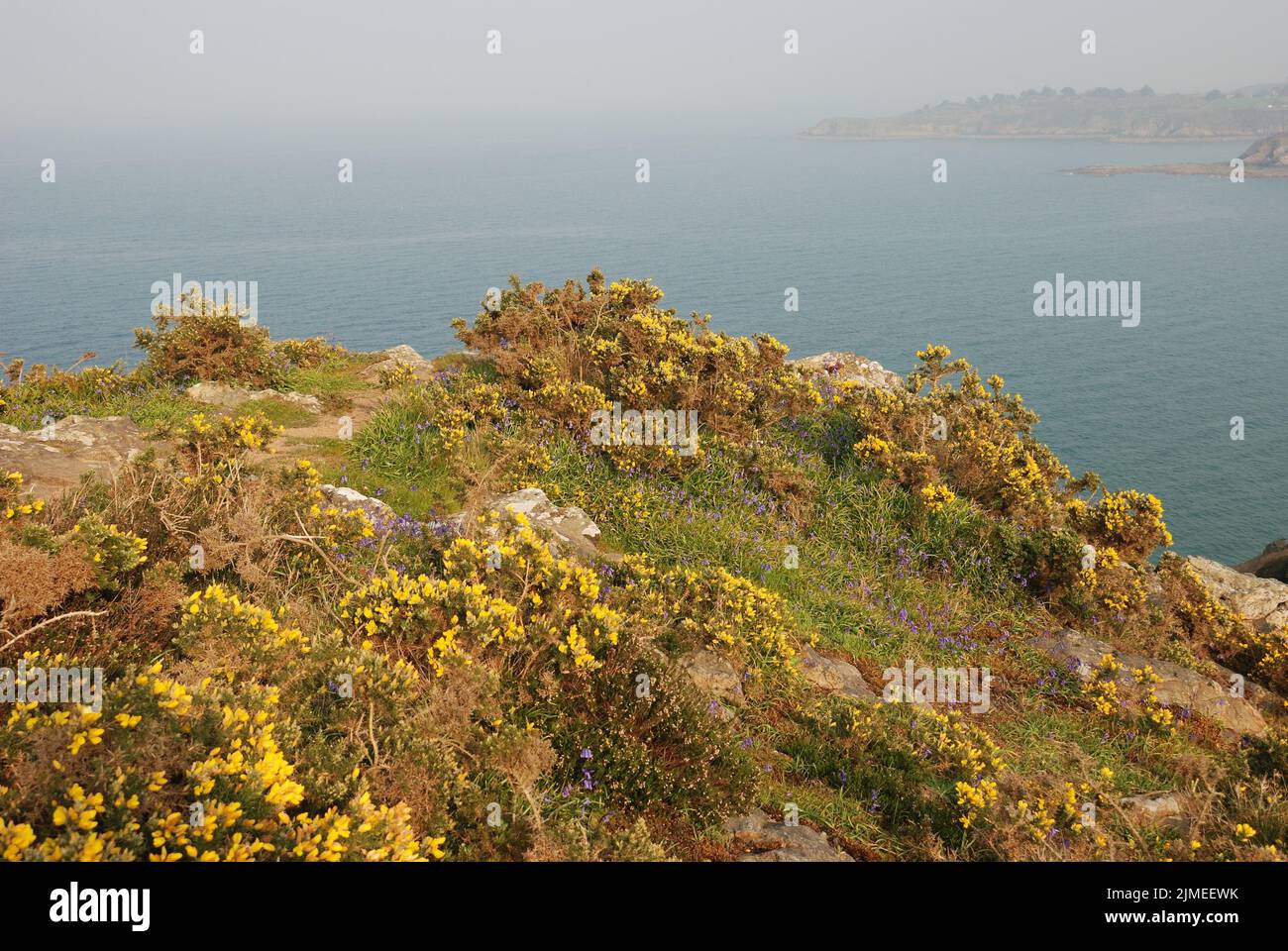 The Brittany coast in Plouha Stock Photo - Alamy