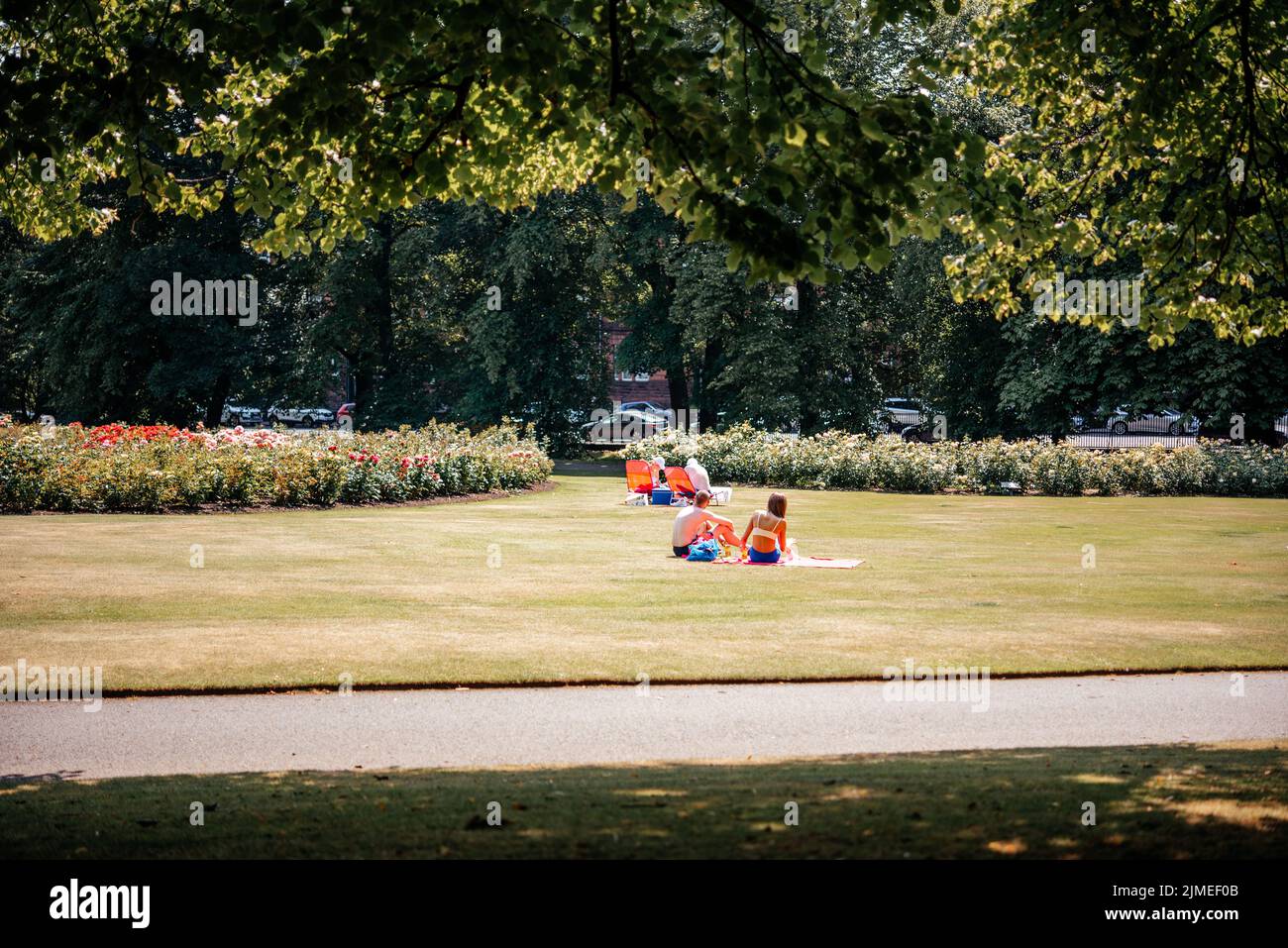 People are sunbathing on the grass in the park in the UK Stock Photo