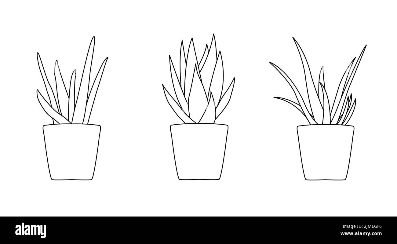 Continuous line drawing of a flowers pots. Beautiful flowers isolated white background. Vector illustration Stock Vector