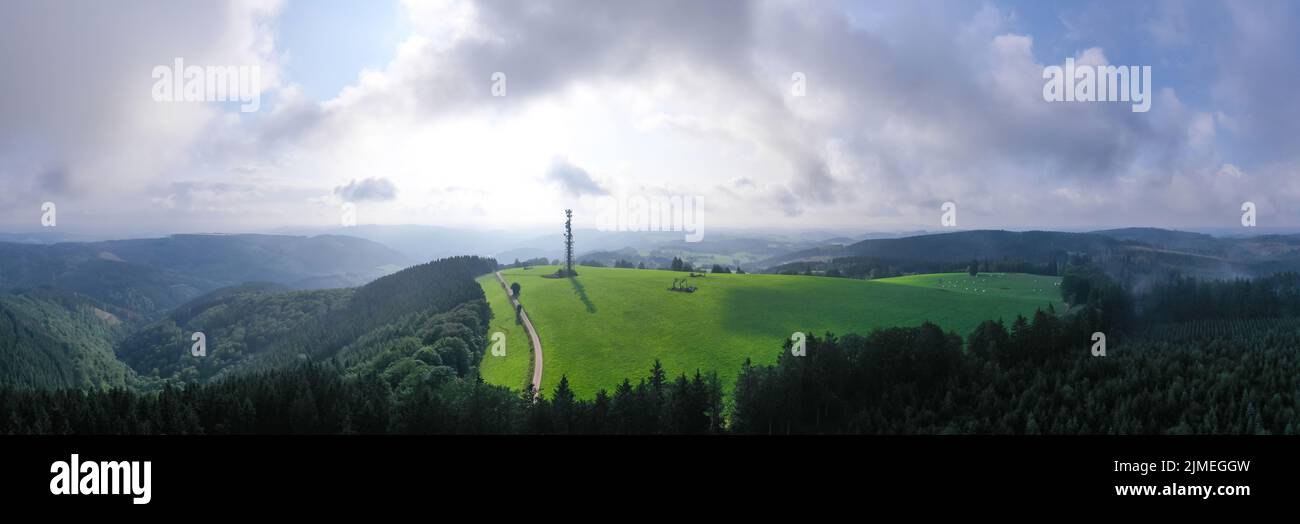 The wildewiese landscape and the schomberg tower in the sauerland in