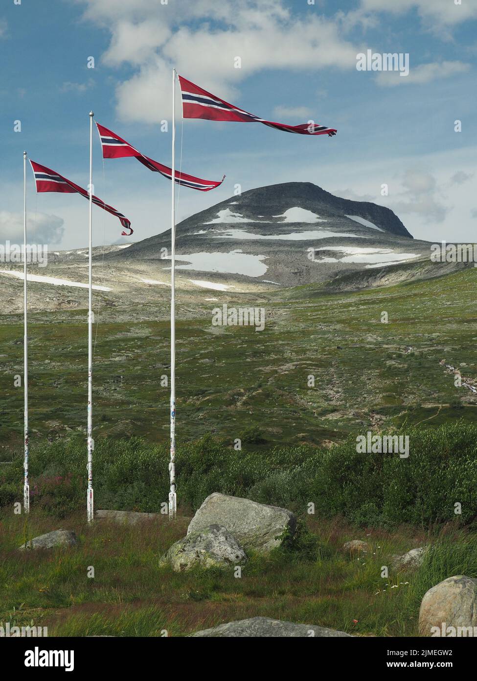 Norwegian flags at the Arctic Circle, E6 Stock Photo