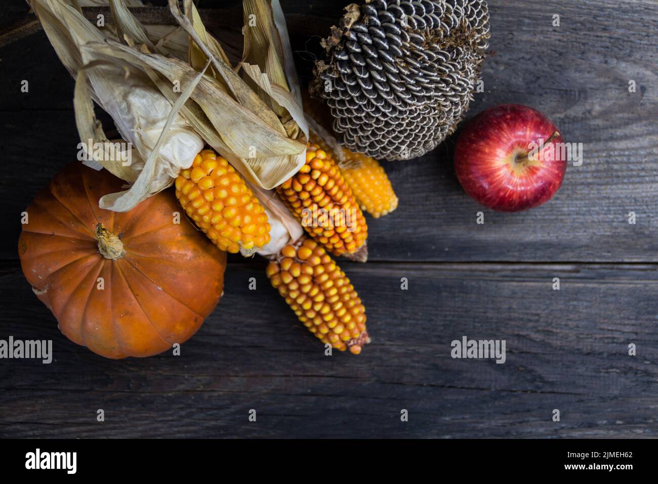 Top view of autumn harvest with place for text Stock Photo