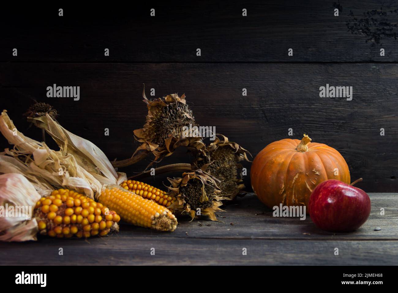 Autumn harvest concept with corn squash sunflowers and apples on rustic background Stock Photo