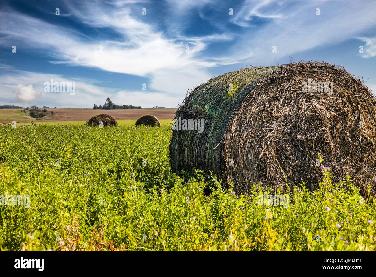 Bales of Hay in Green Field under Blue Sky with Clouds Stock Photo - Alamy