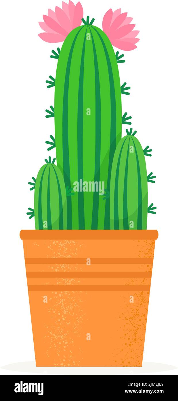 Flowering cactus in a flat style. Blossomed house succulent in pot