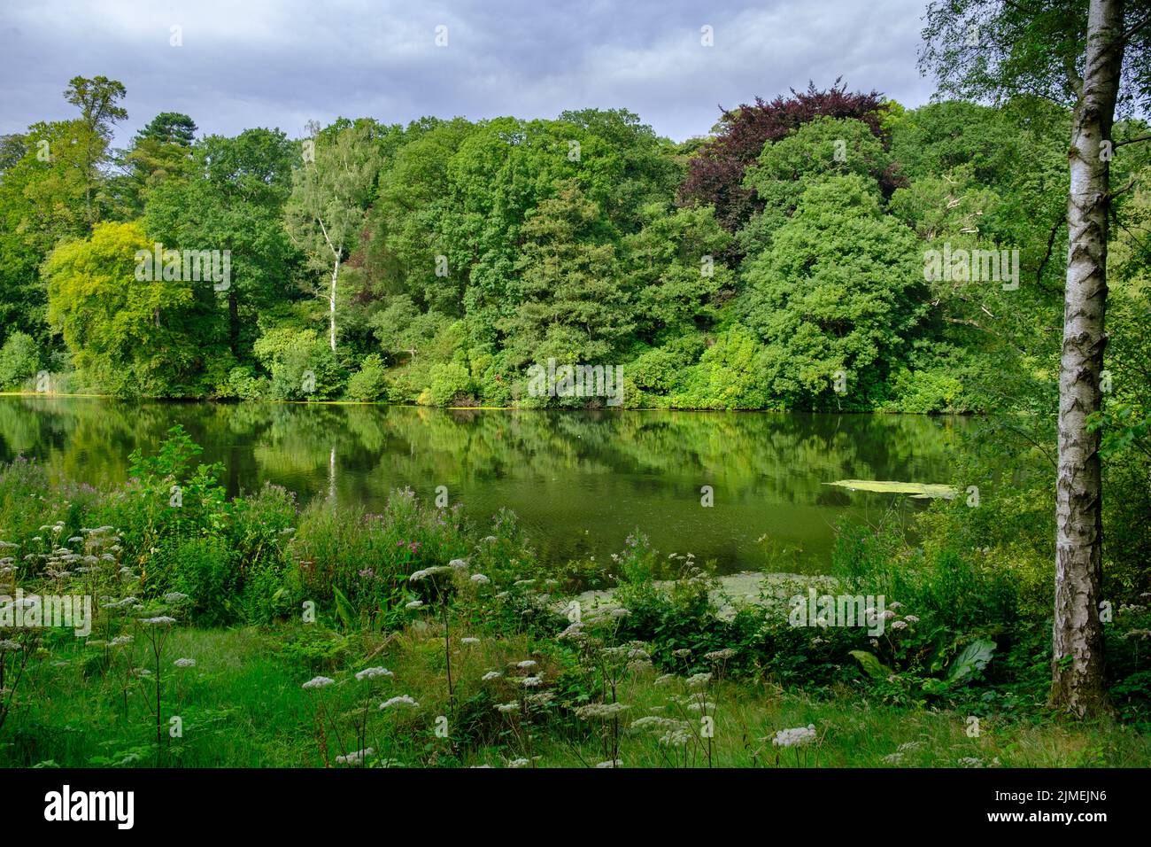 Hemingbrough Pond Beautiful landscape of trees foliage and the Fish Pond in the area of ...