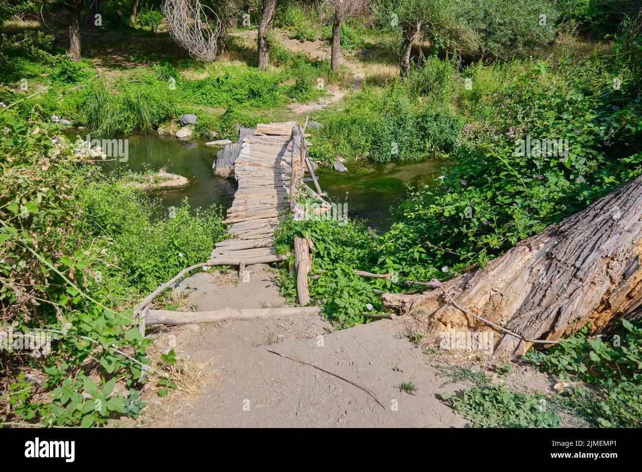 old wooden bridge over small river, wood path, a beautiful summer landscape Stock Photo