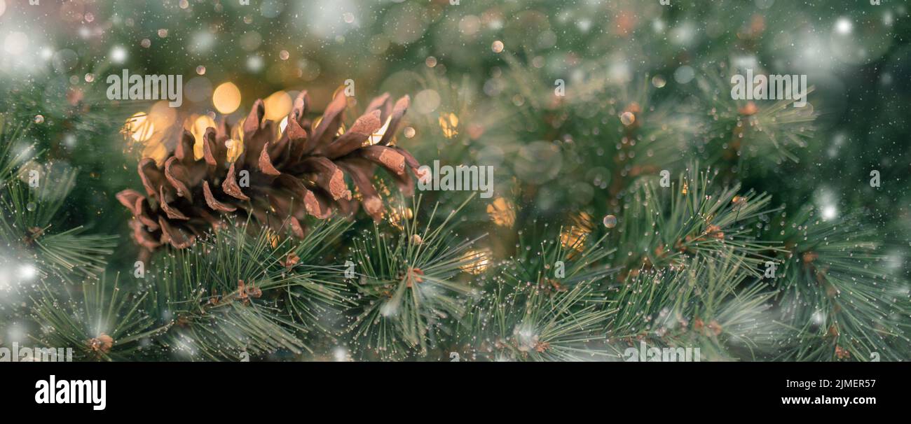 Fir branch with golden lights and pin cone christmas decoration border Stock Photo