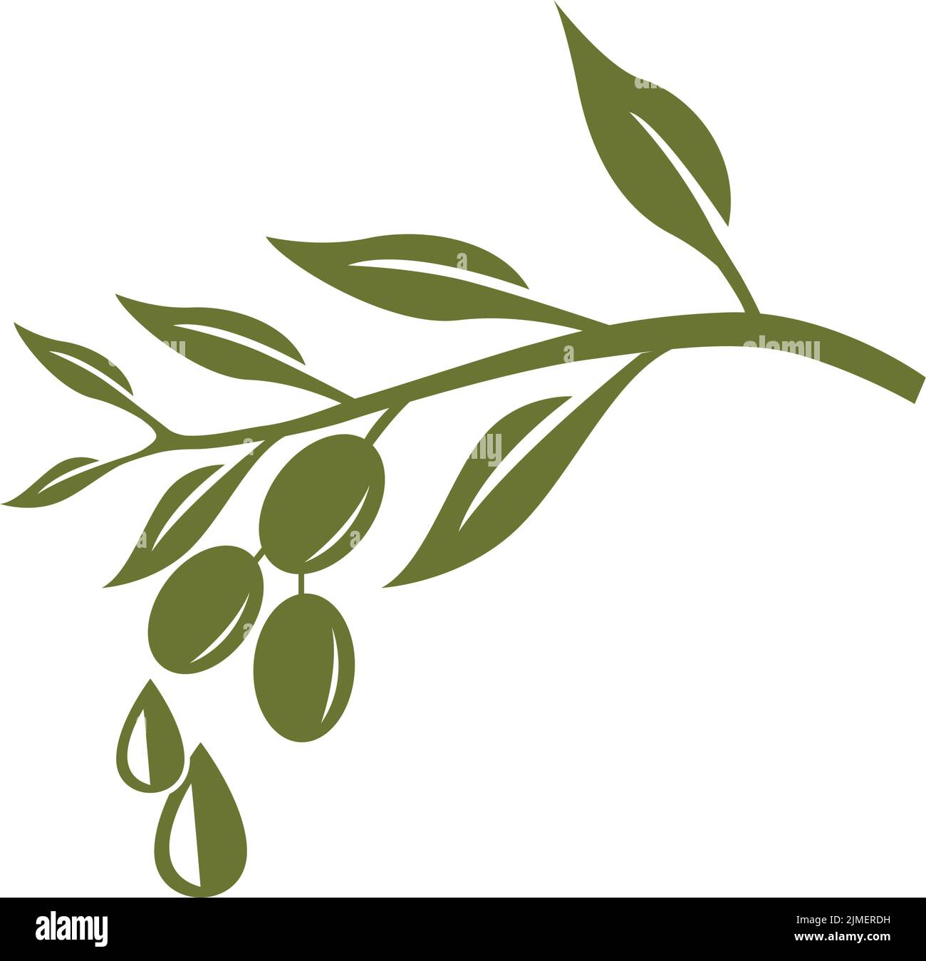 olives branch and olive oil drop vector illustration Stock Vector Image ...