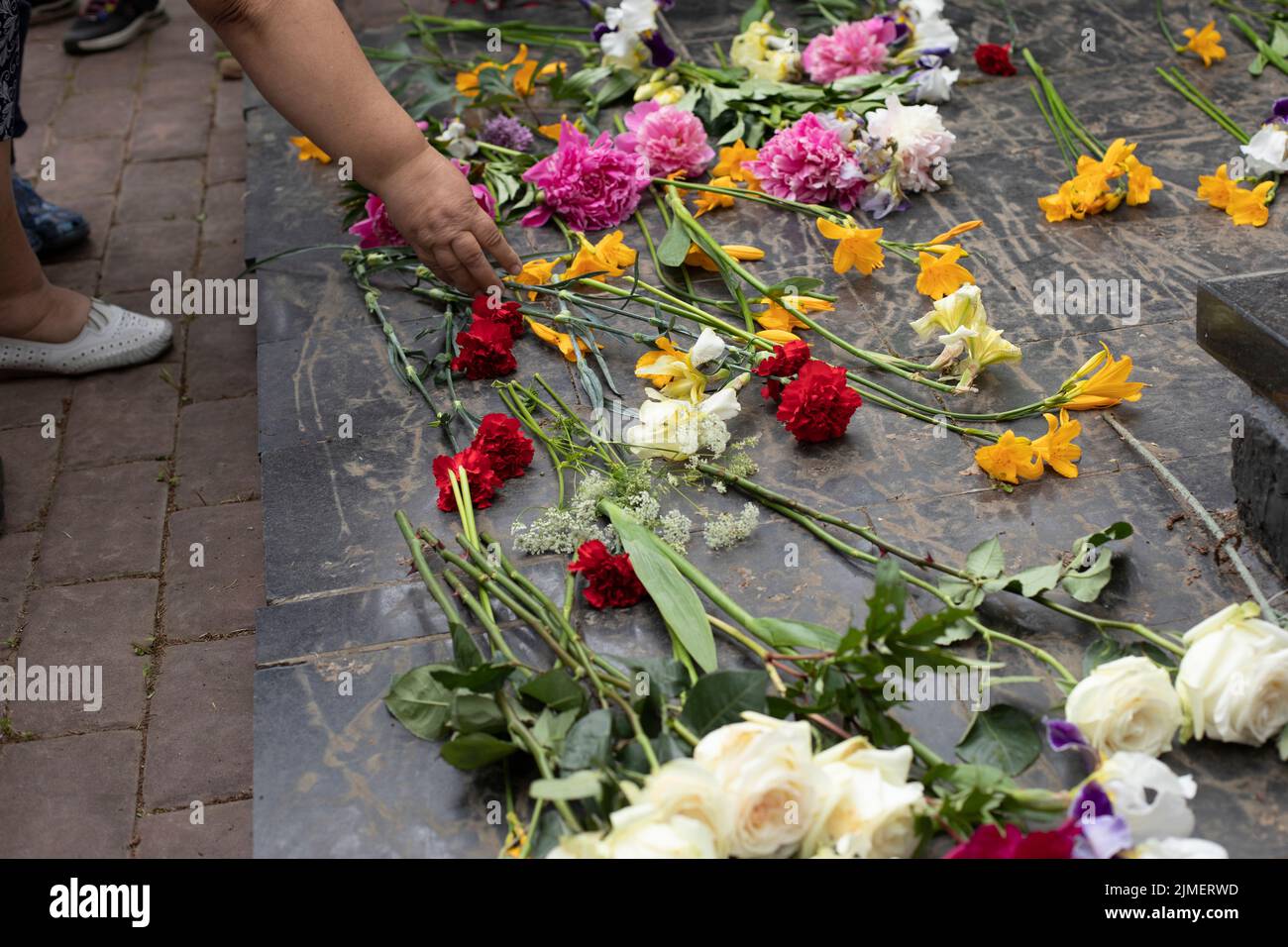 Laying flowers on tombstone. Flowers at ceremony. Grave of