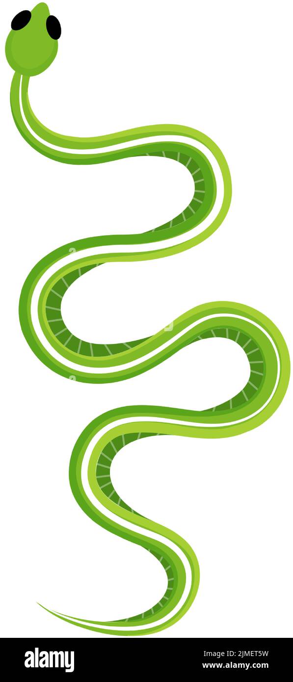 Tropical exotic rattlesnake. Smooth green snake. Poisonous snake. Hand drawn vector illustration. Stock Vector