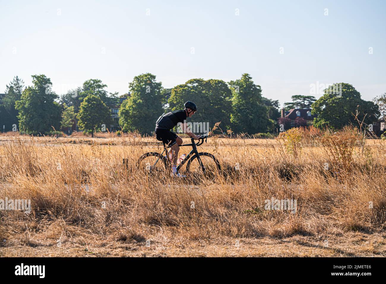 Wimbledon, London, UK. 6 August 2022 A cyclist riding in the bright sunshine this morning through a parched Wimbledon Common. Hosepipe bans have been issued in parts of the south, which comes into force on 12, August. as the hot weather and a lack of rainfall continue to grip much of the south of England and the UK, with temperatures expected to reach  above 30celsius  by next week Credit. amer ghazzal/Alamy Live News Stock Photo