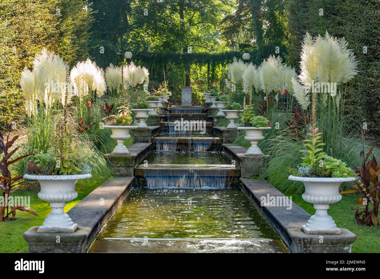 Pampas grass river water hires stock photography and images Alamy