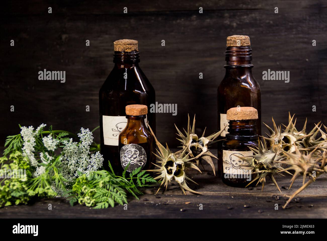 Poison bottles, hemlock flowers and burundanga seeds Stock Photo