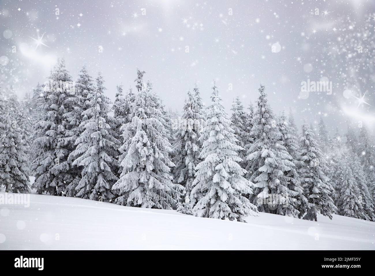 Wonderful snowy winter landscape hi-res stock photography and images ...