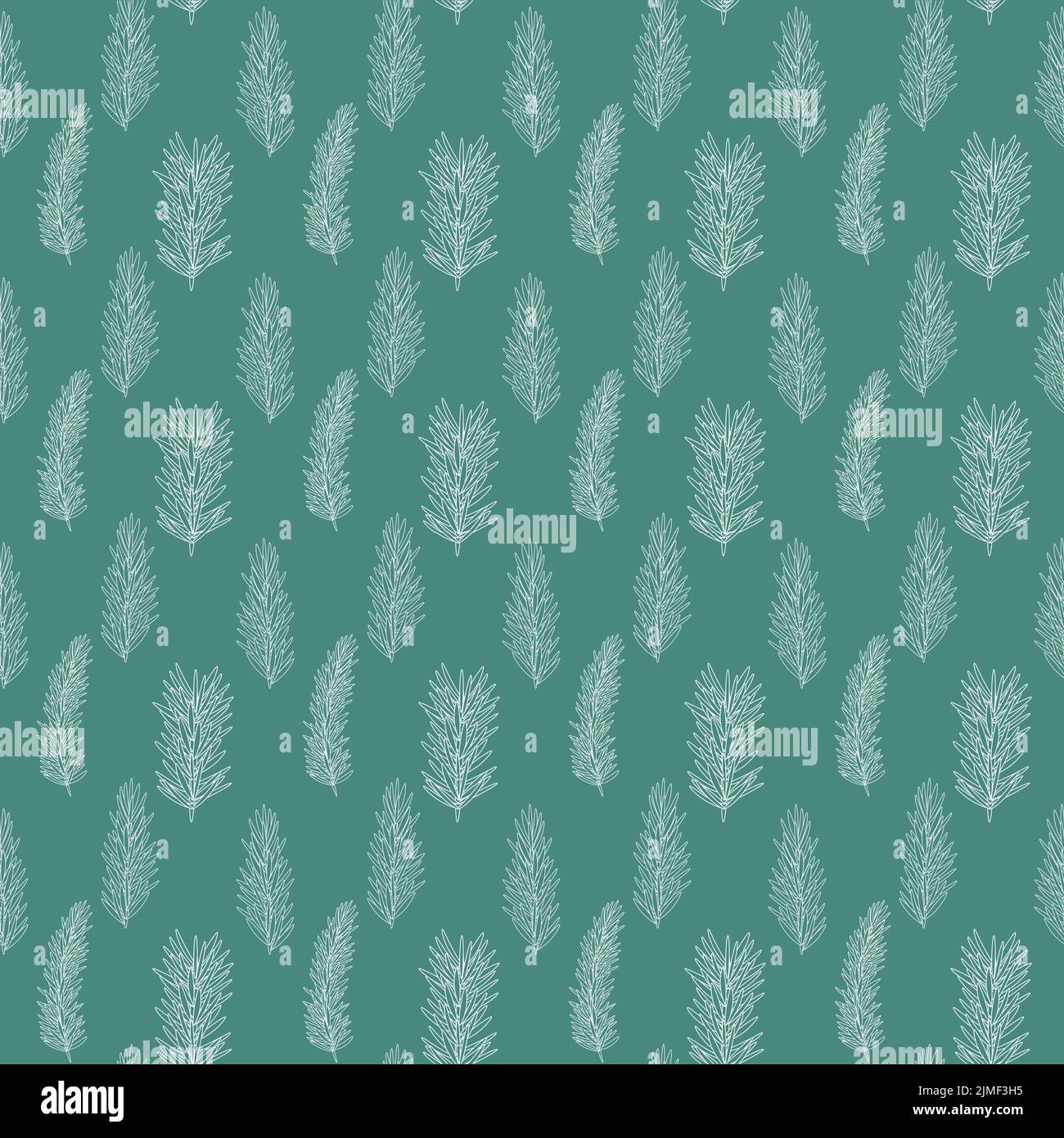 Winter Green Fir Seamless Pattern Background. Vector Illustration. EPS10 Stock Vector