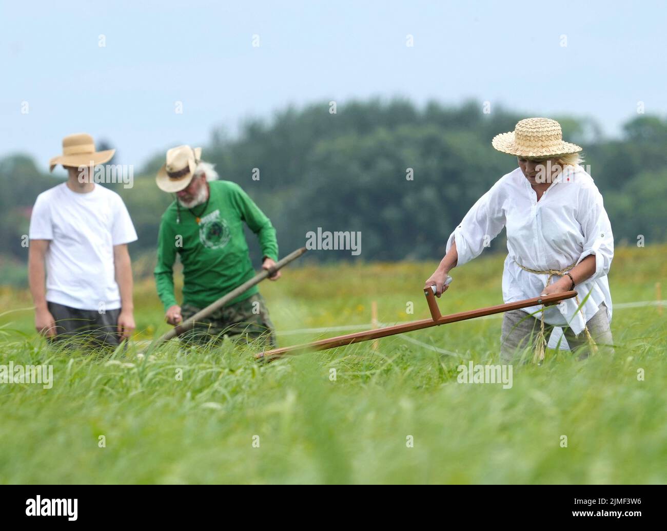Participants compete during Lithuanian mowing championship to cut down grass using scythes in Rupkalviai, Lithuania  August 6, 2022. REUTERS/Ints Kalnins Stock Photo