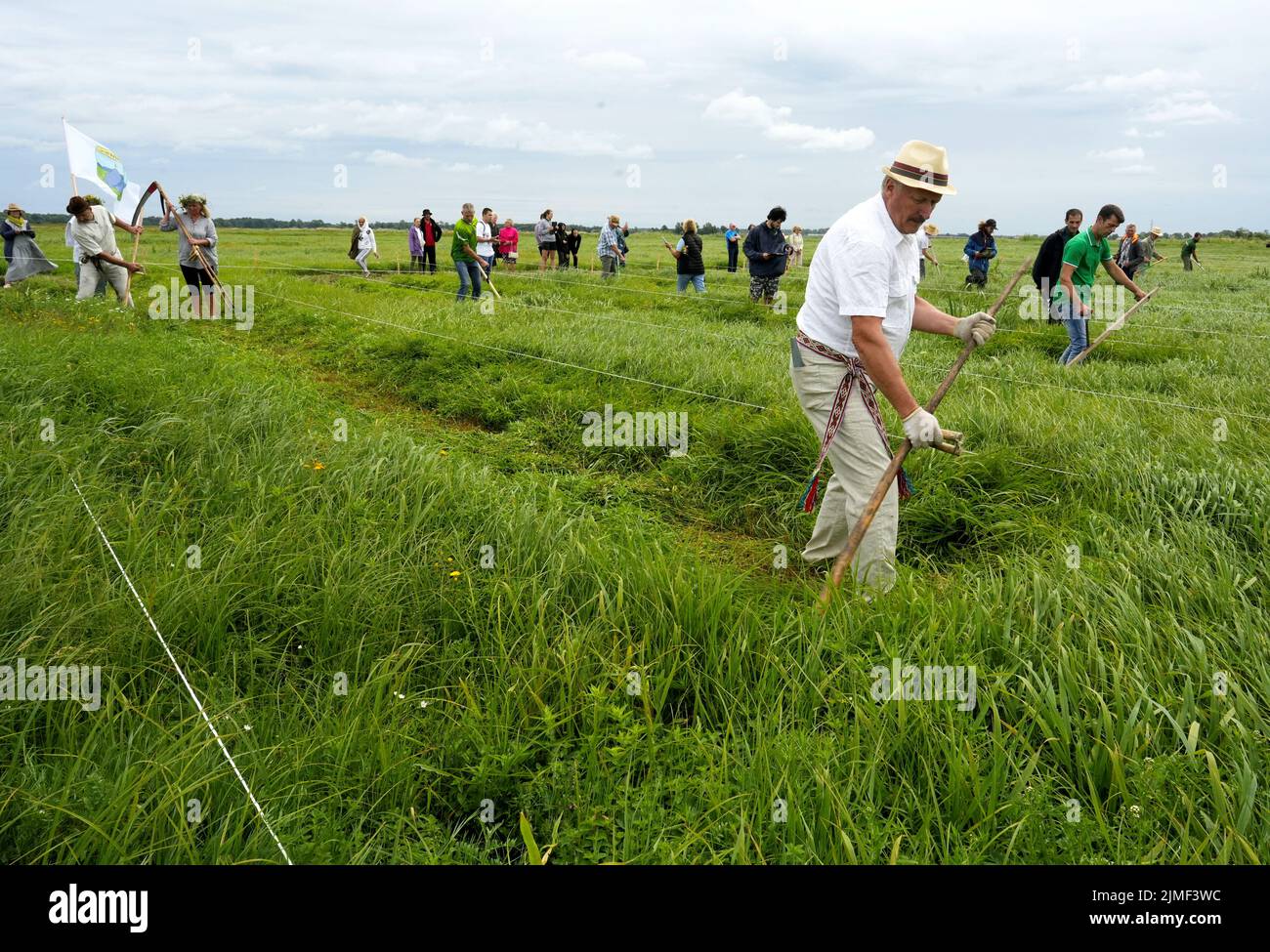 Participants compete during Lithuanian mowing championship to cut down grass using scythes in Rupkalviai, Lithuania  August 6, 2022. REUTERS/Ints Kalnins Stock Photo