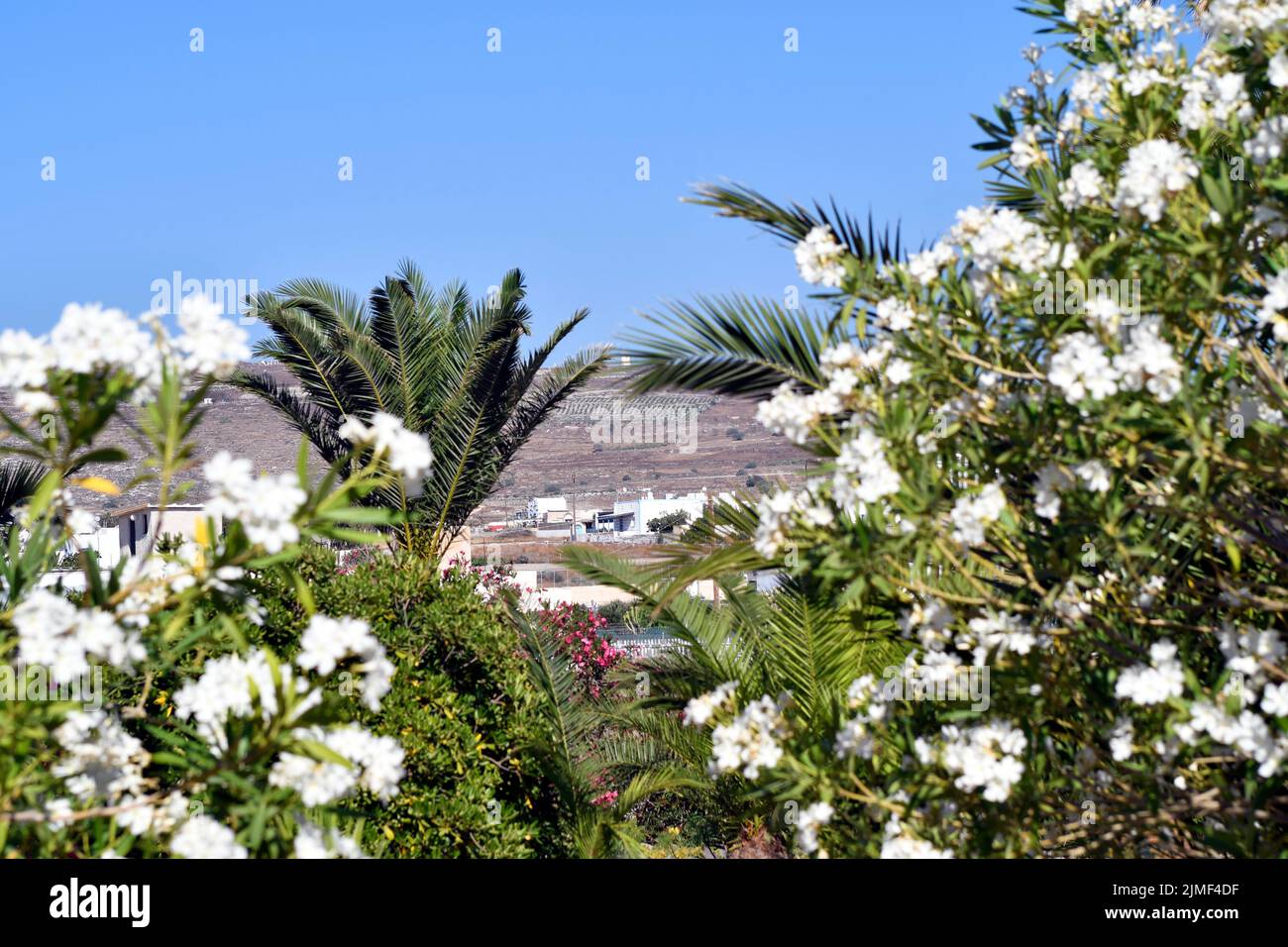 Greece, landscape on Santorini Island Stock Photo