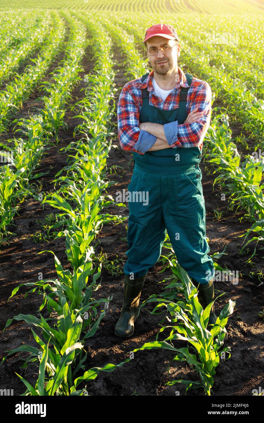 Middle age male caucasian confident satisfied farm worker with crossed arms stands at corn field Stock Photo