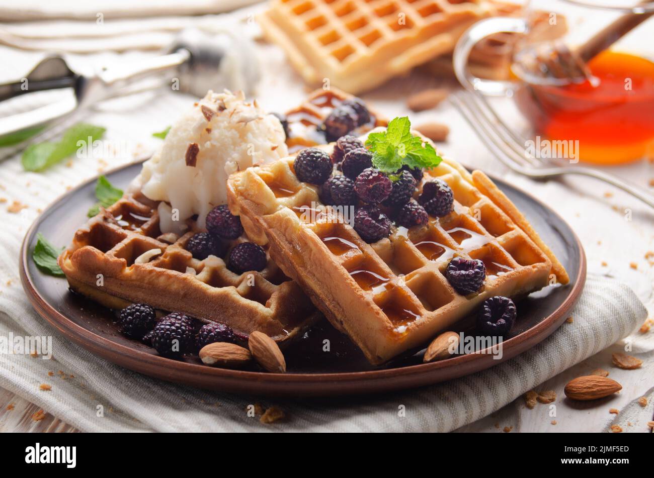 Homemade crispy Belgian waffles served with blackberries honey and icecream Stock Photo