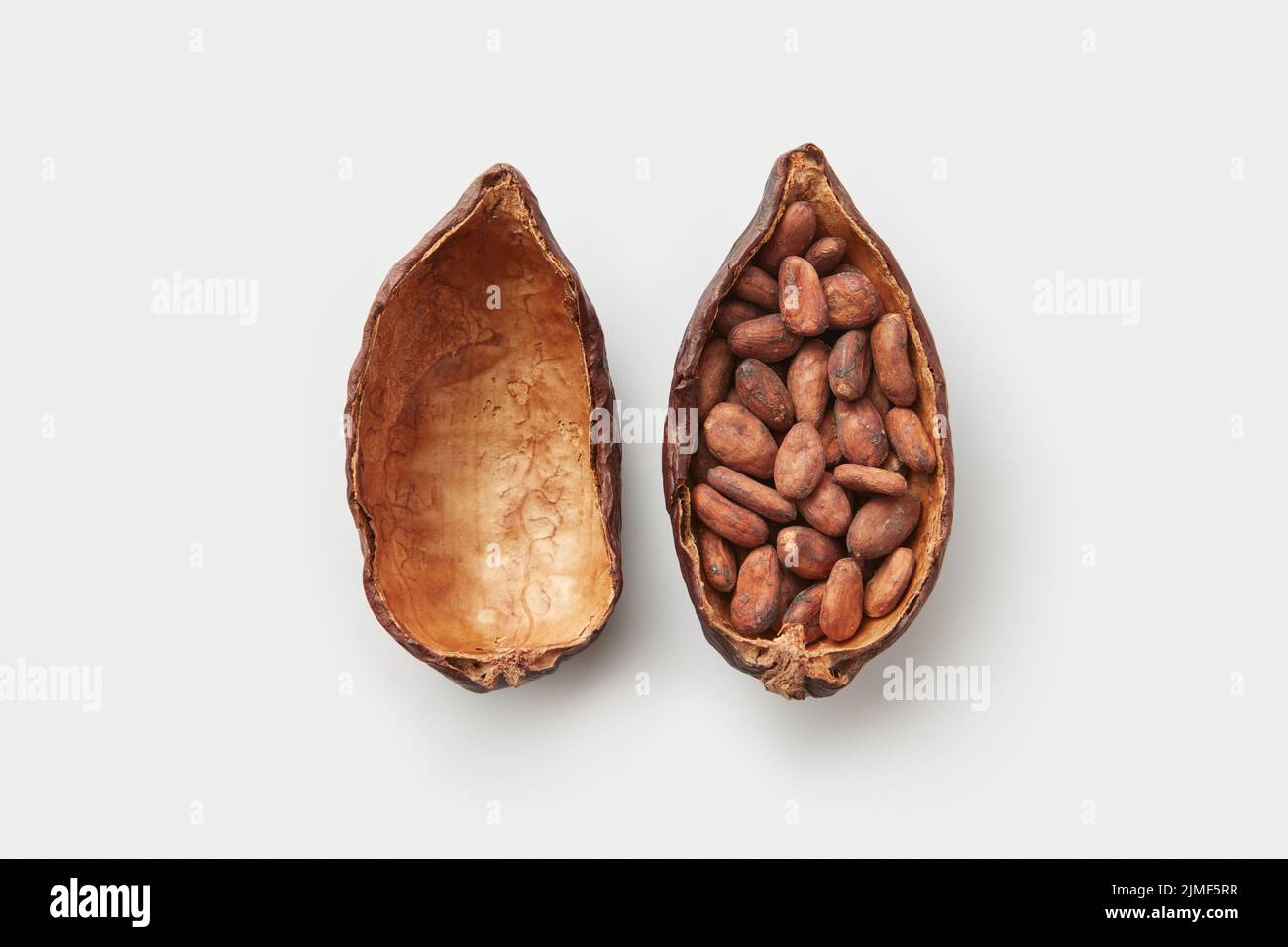 Cocoa tree seeds hires stock photography and images Alamy