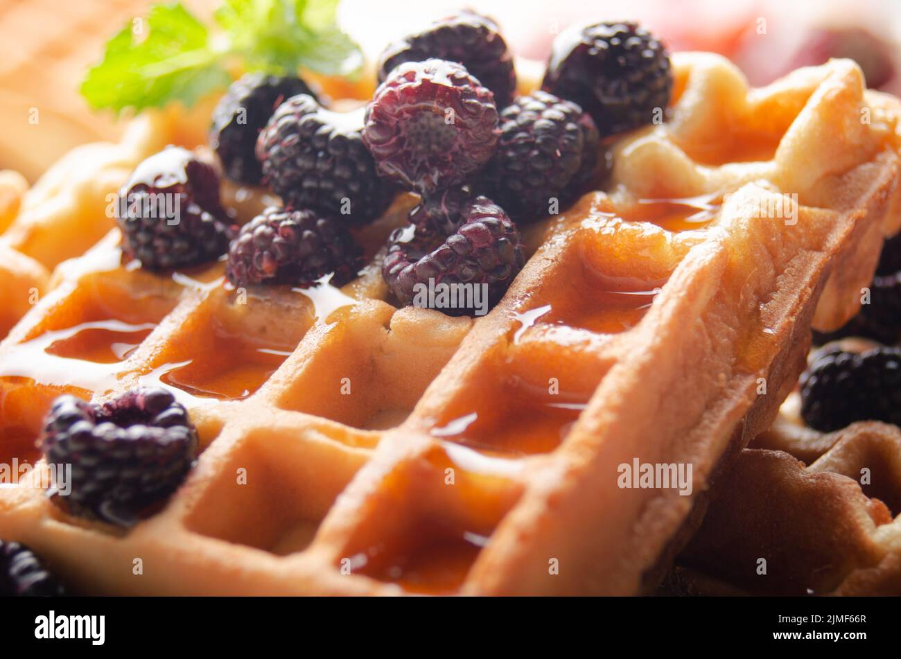 Homemade crispy Belgian waffles served with blackberries and honey closeup Stock Photo