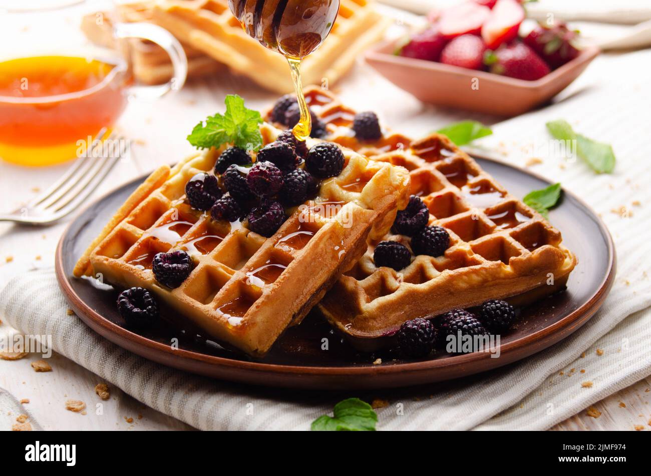 Homemade crispy Belgian waffles served with blackberries and honey Stock Photo