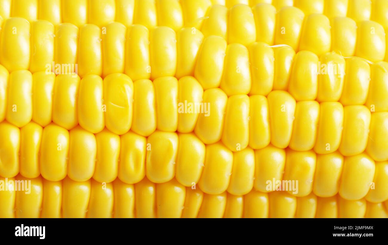 Ripe fresh organic sweet corncob closeup background Stock Photo