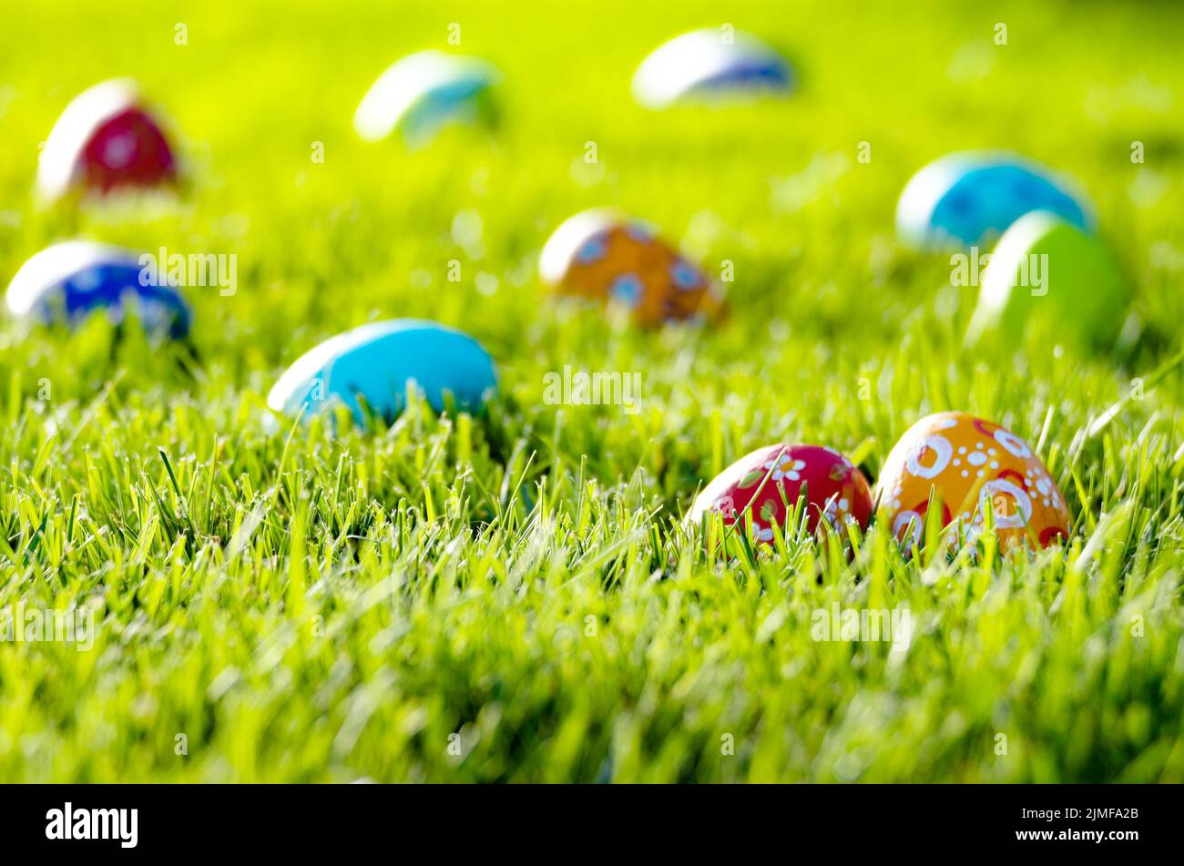 Easter eggs lying on green spring grass Stock Photo
